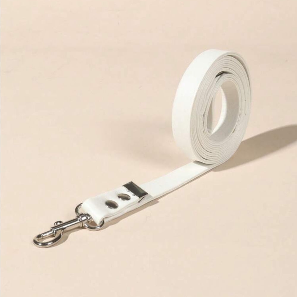 White Dog Leash with Silver Hardware